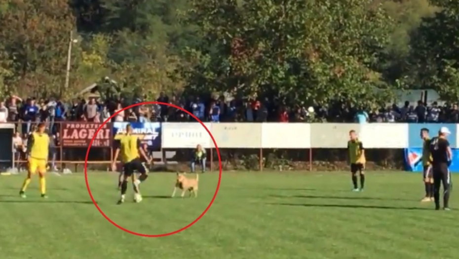 Partizan pas Voždaje