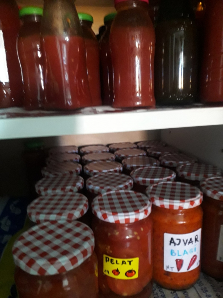 Zimnica Nada Topčagić