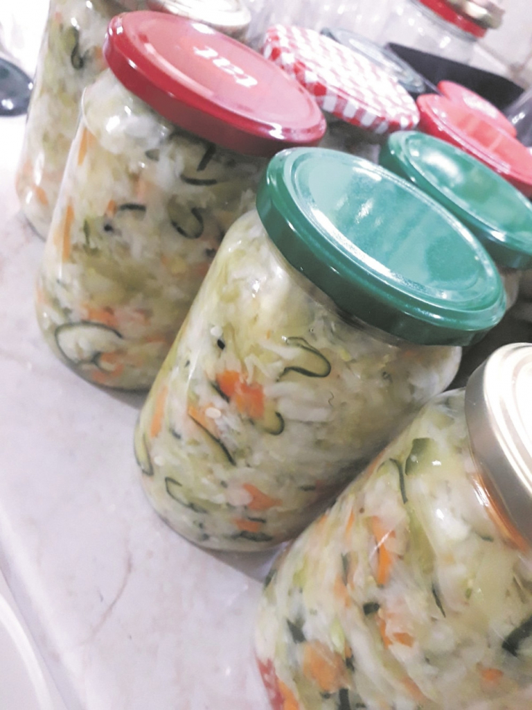 Zimnica Nada Topčagić