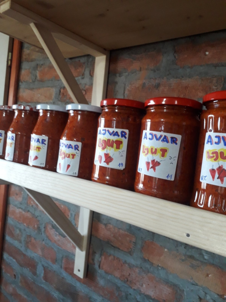 Zimnica Nada Topčagić