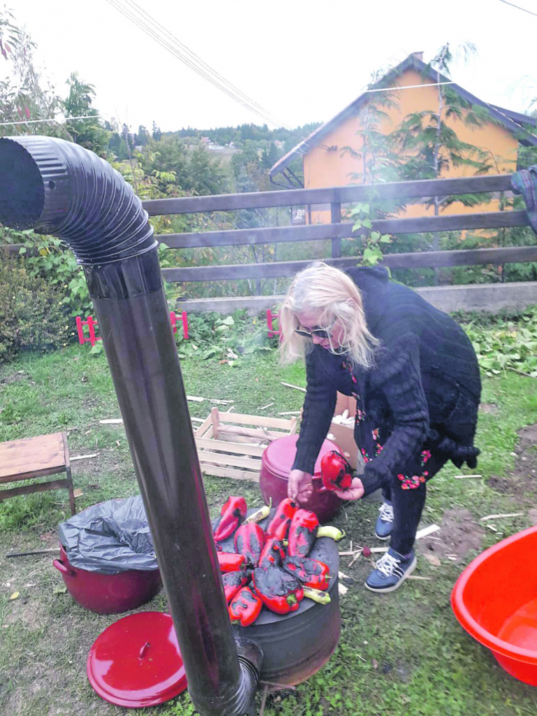 Zimnica Nada Topčagić