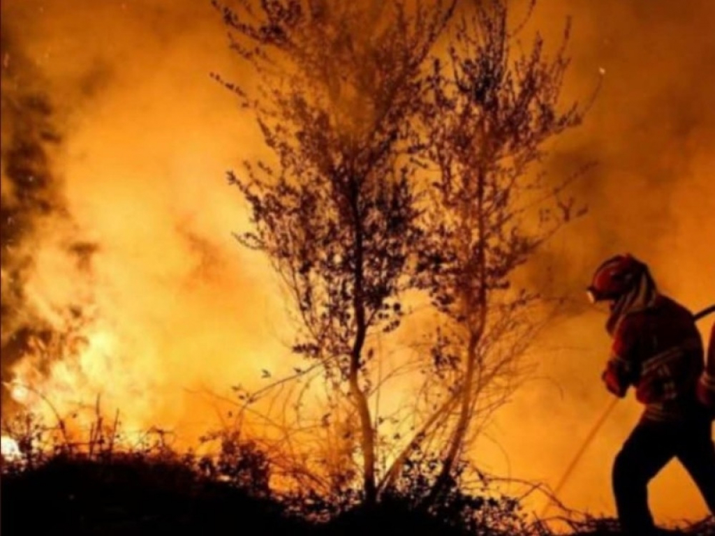 Požar Stara Planina