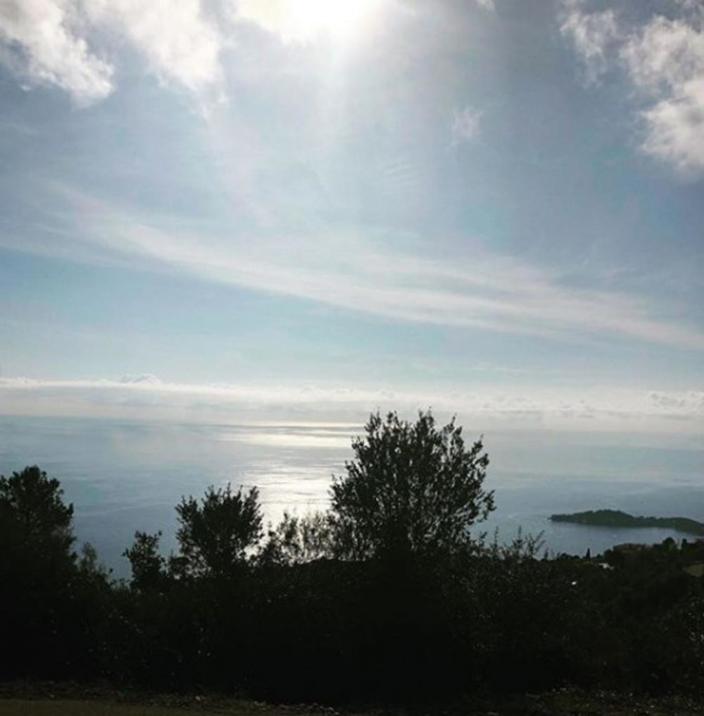 objava Jelene Đoković