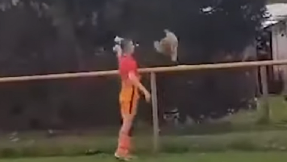 Fudbaler ubija kokošku