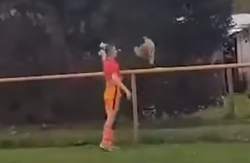 Fudbaler ubija kokošku