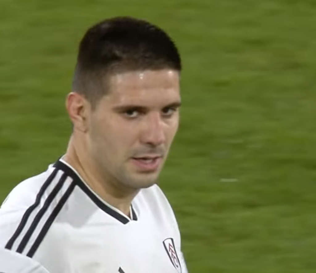 Aleksandar Mitrović Fulam