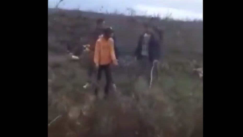 Maltretiranje životinja