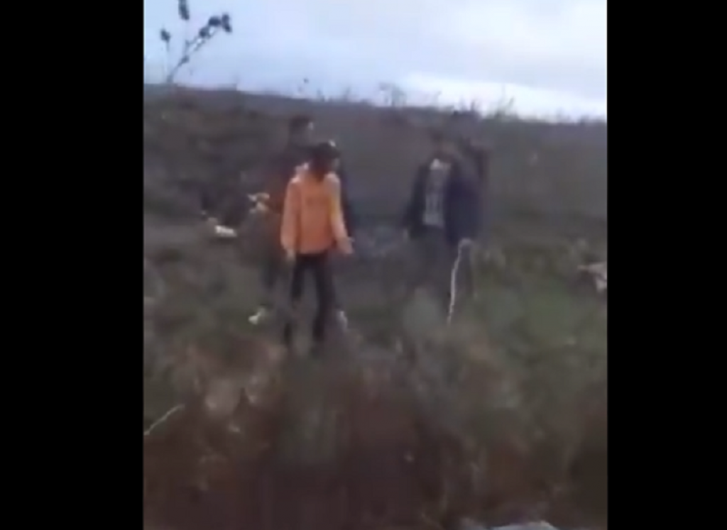 Maltretiranje životinja