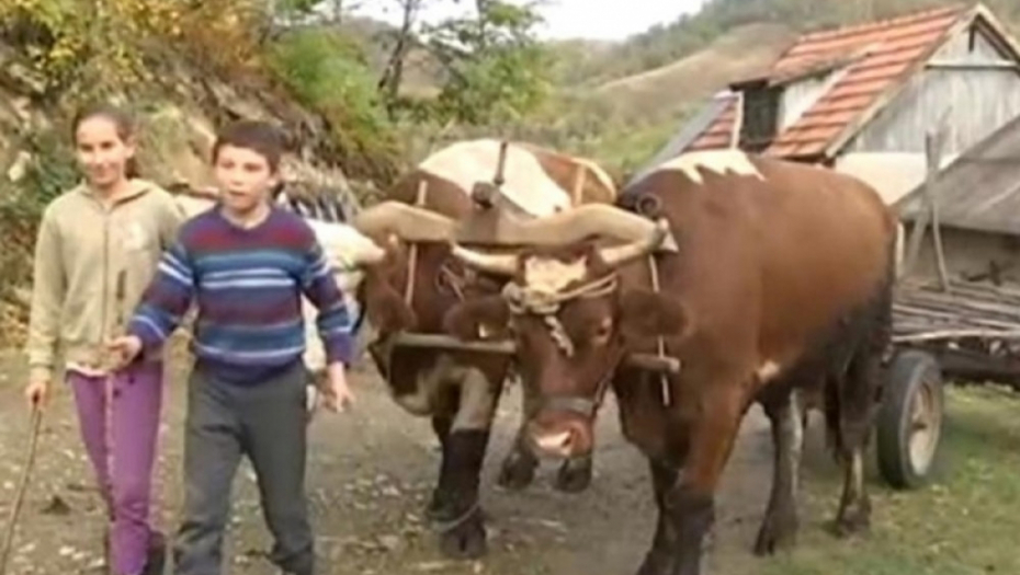 Milica i Milan Arsenović