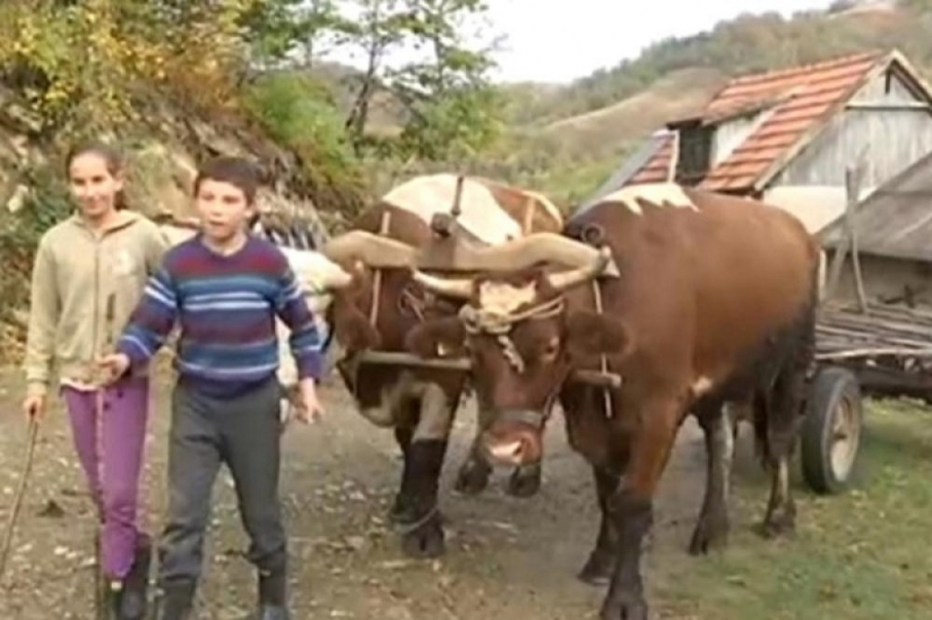 Milica i Milan Arsenović