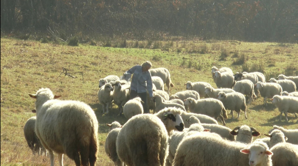 Ljubivoje Milinković