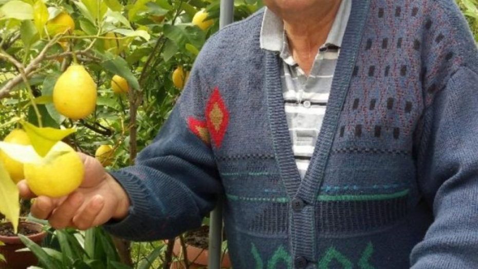 Stanislav Trifunović