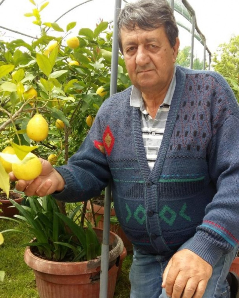 Stanislav Trifunović