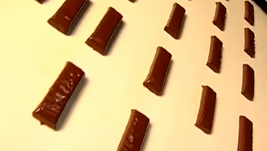 Hematogen, čokoladice od krvi