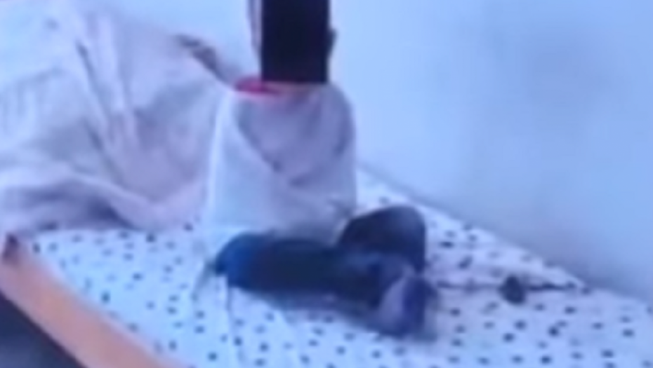 deca u domu Pazarić