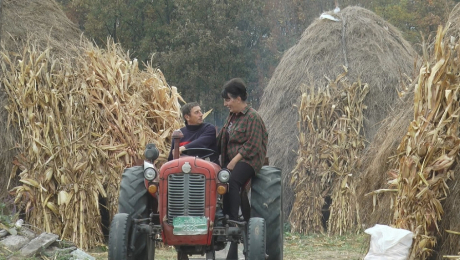 Nerazdvojni sedmerac