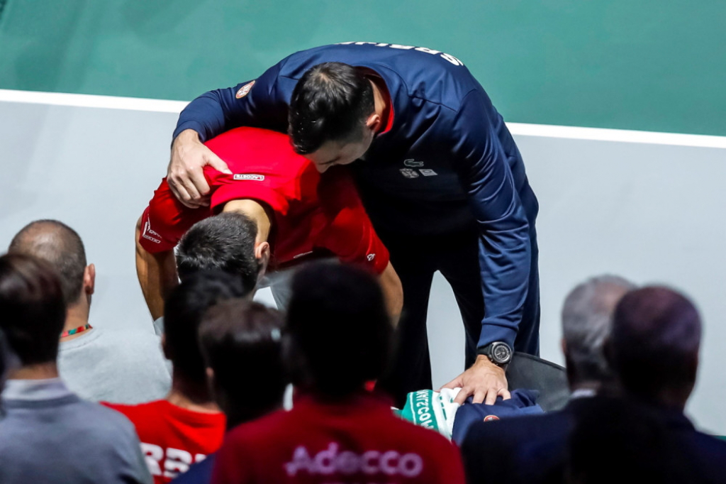 Đoković Dejvis kup