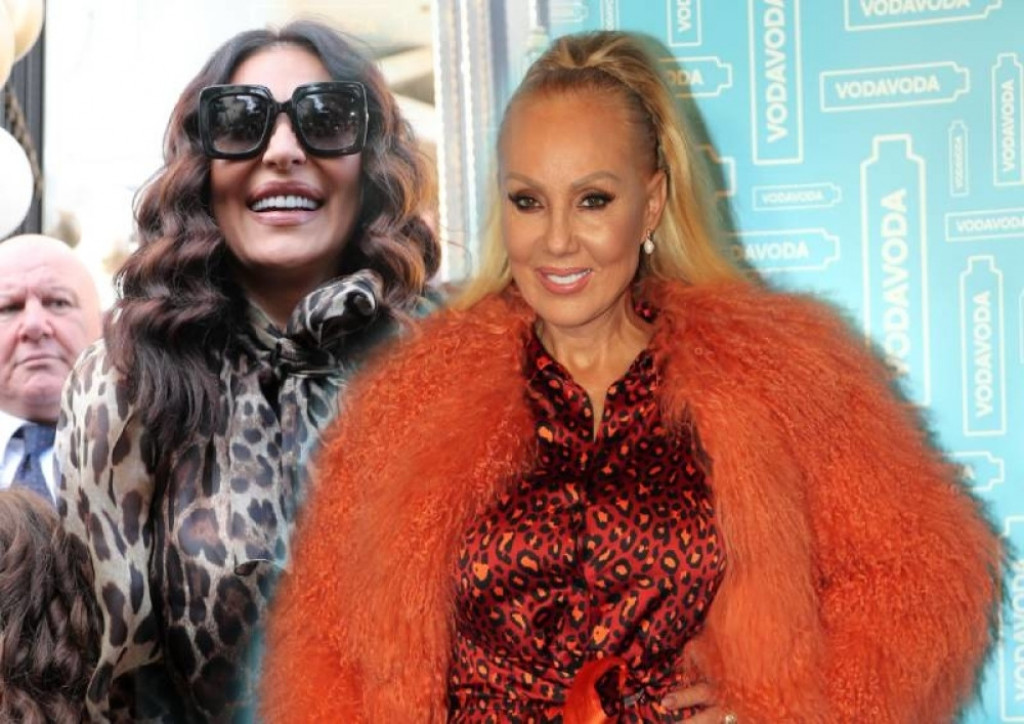 Ceca Ražnatović, Lepa Brena