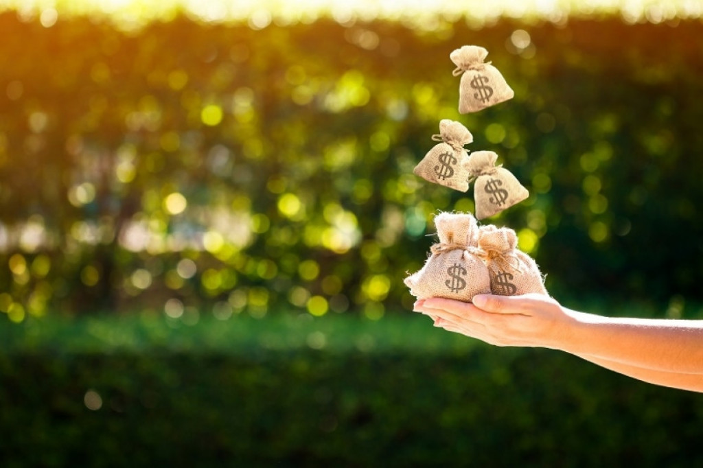 novac, bogatstvo, zarada