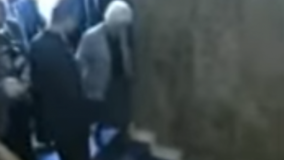 pad, Karla del Ponte