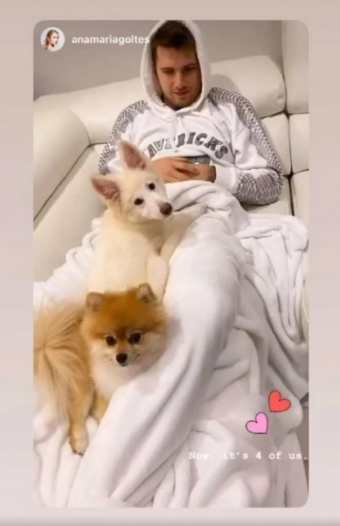 Luka Dončić sa psima