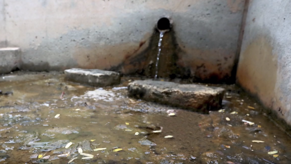 Izvor slane vode, Slankamen 