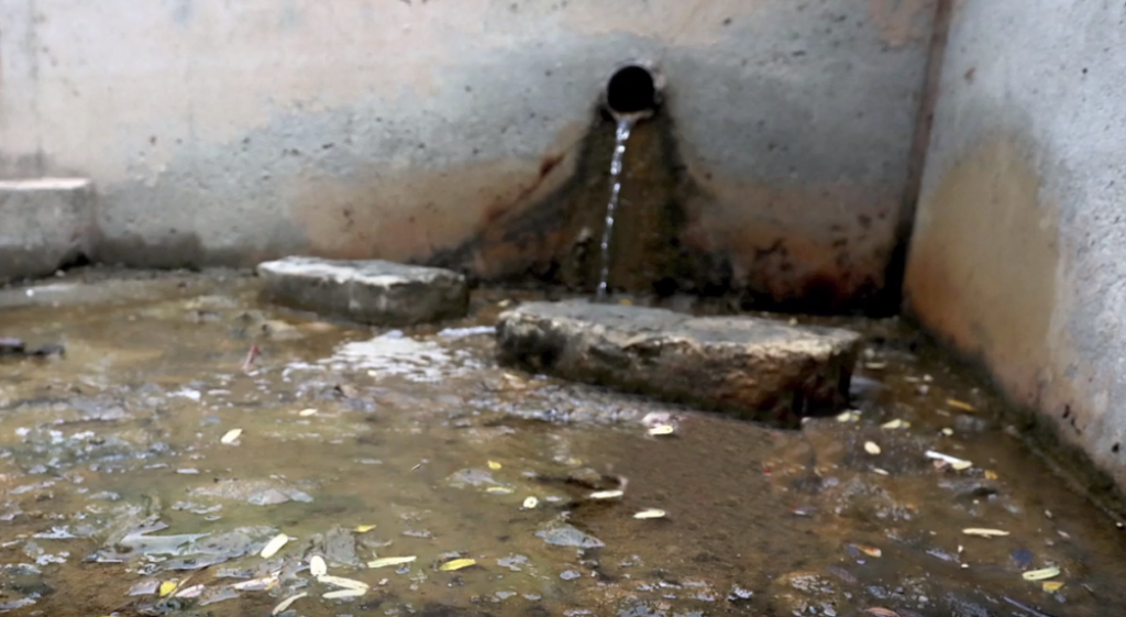 Izvor slane vode, Slankamen