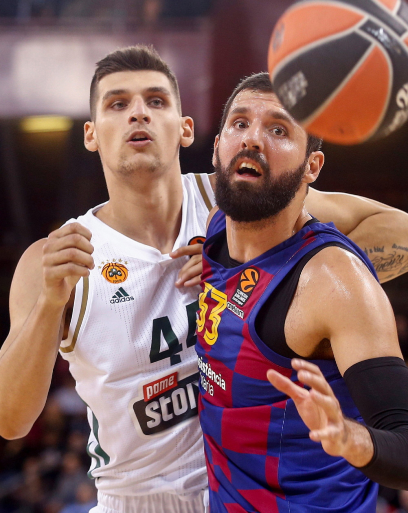 Dinos Mitoglu i Nikola Mirotić