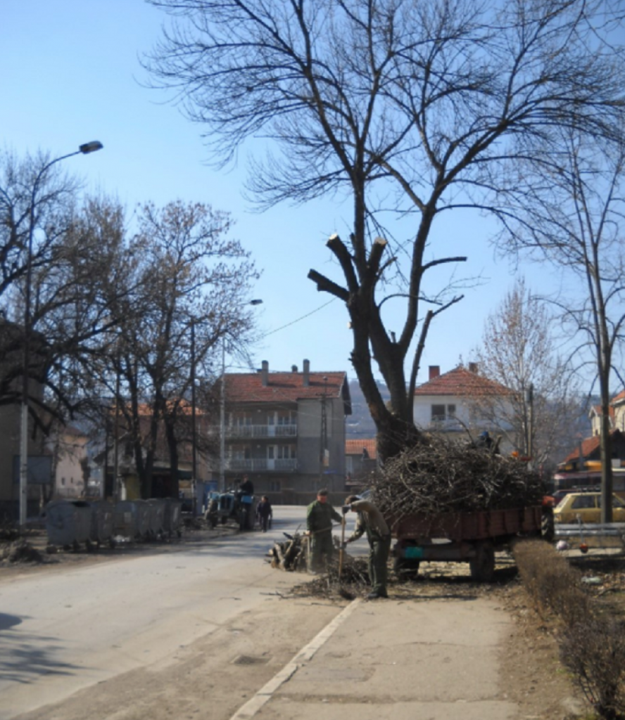 Vetar, Leskovac