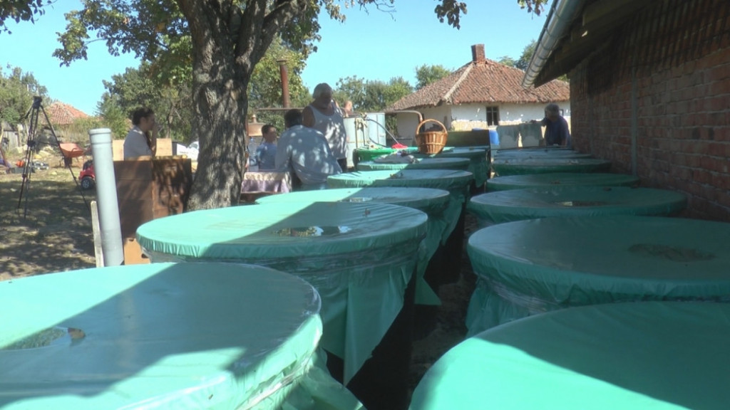 Dušan Aksentijević