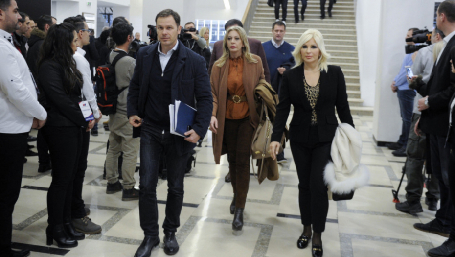 Sednica odbora SNS-a