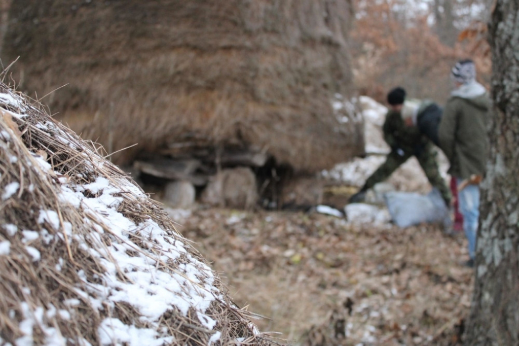 Malčanski berberin, vojska, potraga