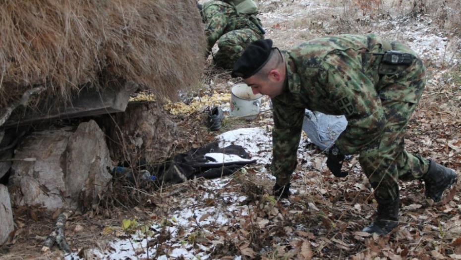 Malčanski berberin, vojska, potraga