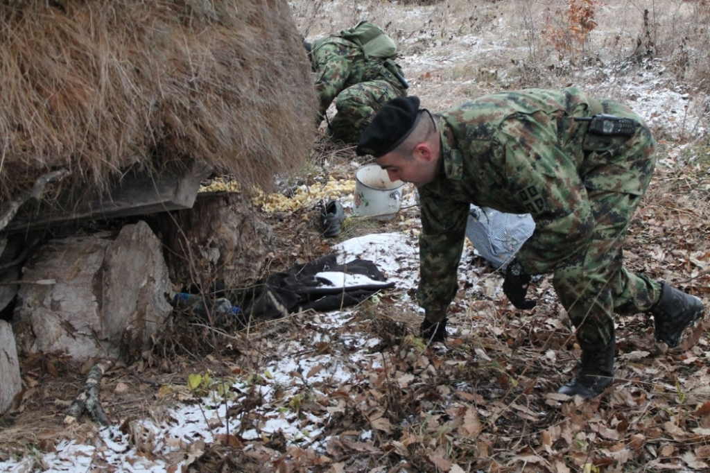 Malčanski berberin, vojska, potraga