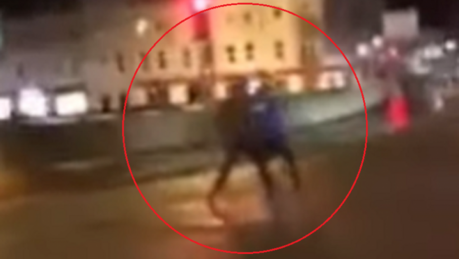 Crnac tuče belca do smrti