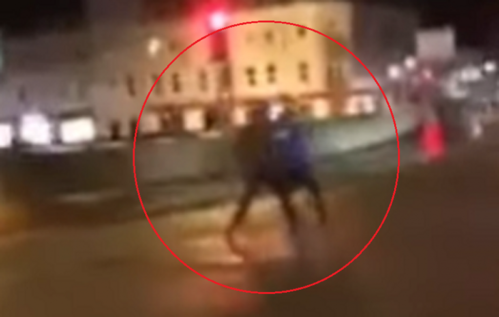 Crnac tuče belca do smrti