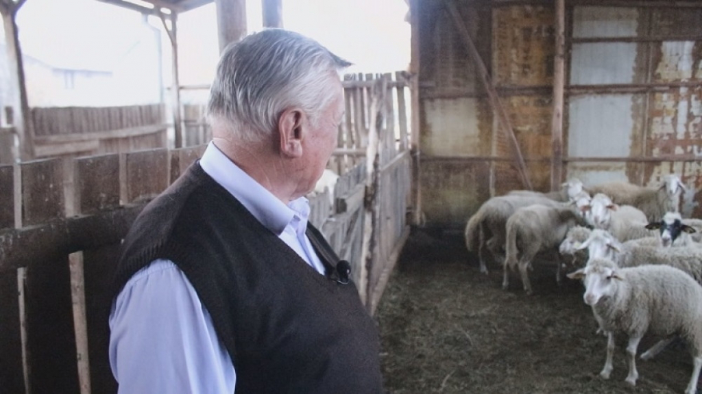 Milanče Radosavljević