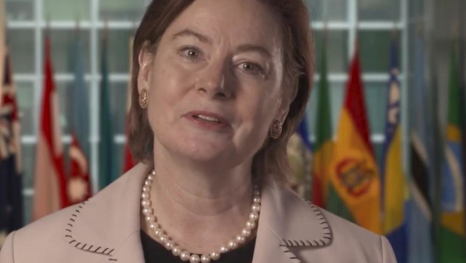 Džudi Rajzing Rajnke