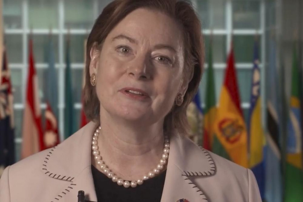 Džudi Rajzing Rajnke