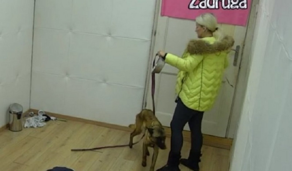 Ermina Pa&scaron;ović