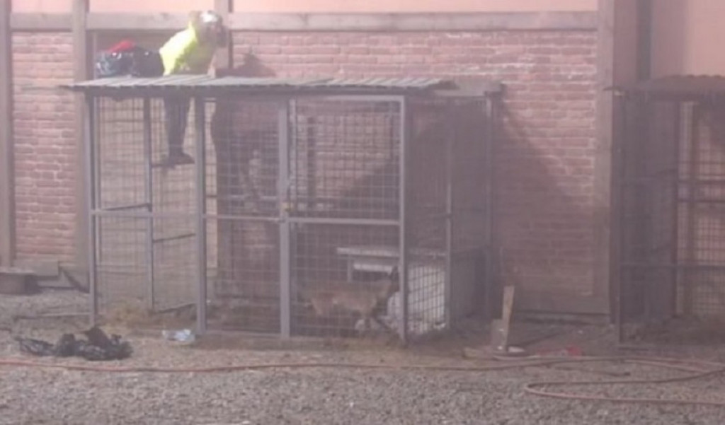 Ermina Pa&scaron;ović