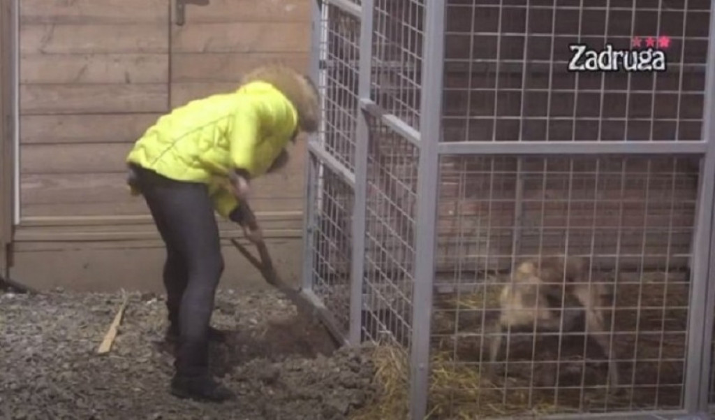 Ermina Pa&scaron;ović