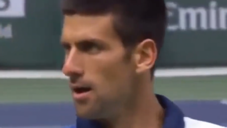 Novak Đoković besan