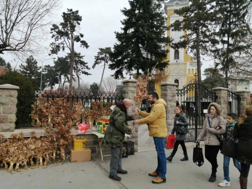 Mićo Belaćević Beli