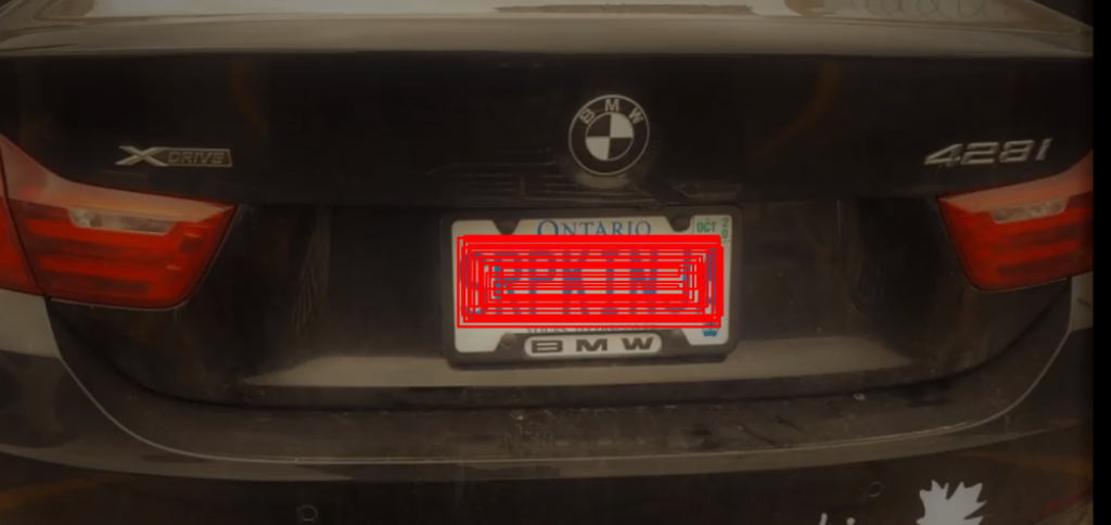 Srpkinja u inostranstvu