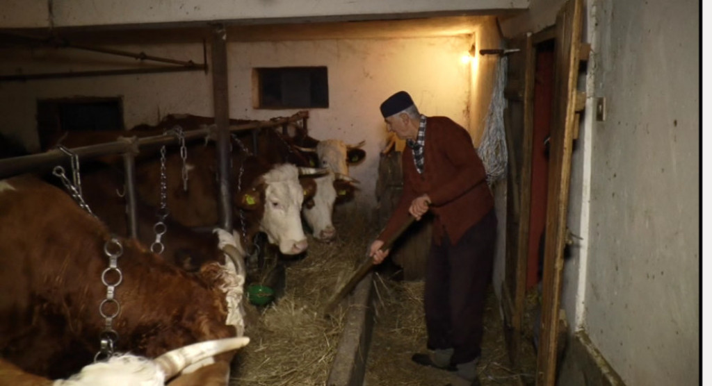 Pordica Brković i njihova pršuta