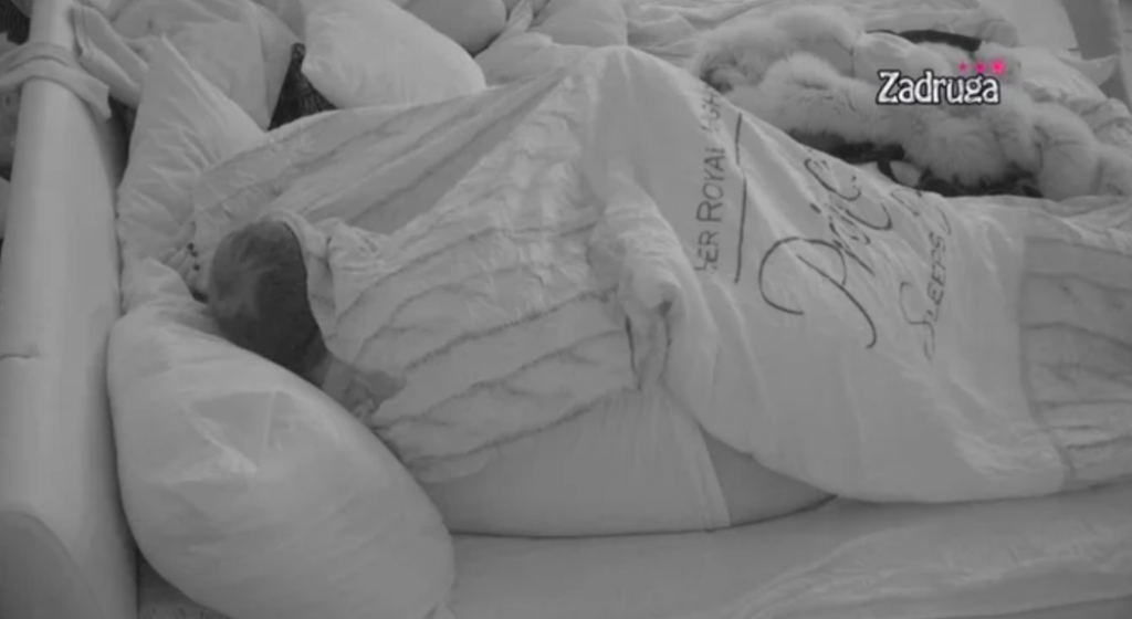 Zadruga 3, Dragana i Edo