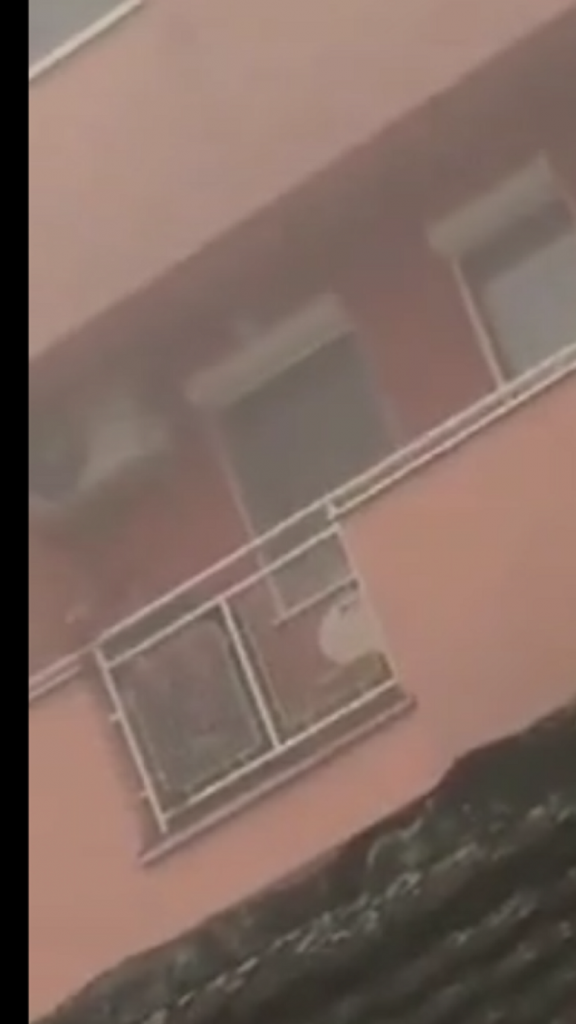 Terasa, manijak, Obrenovac