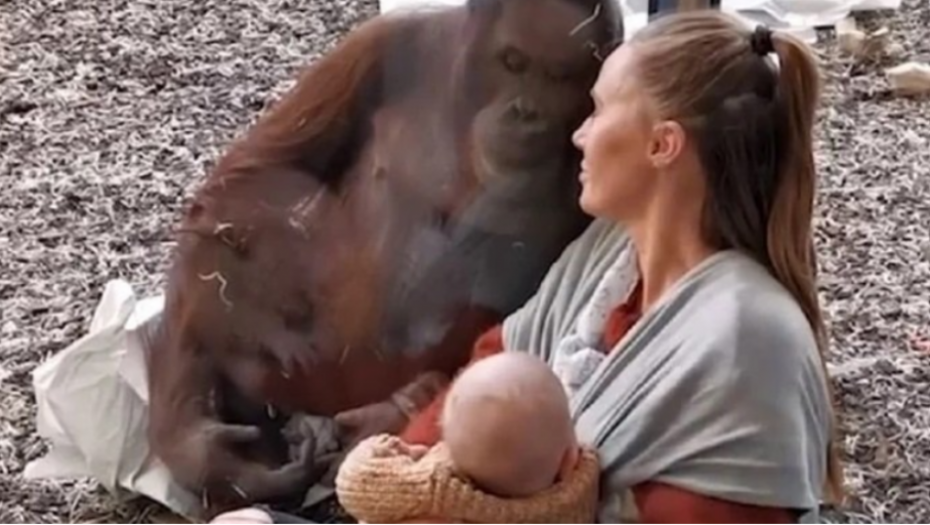 Nesvakidašnja situacija u ZOO