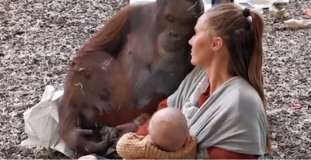 Nesvakida&scaron;nja situacija u ZOO